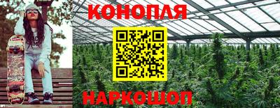 наркотики Гусиноозёрск