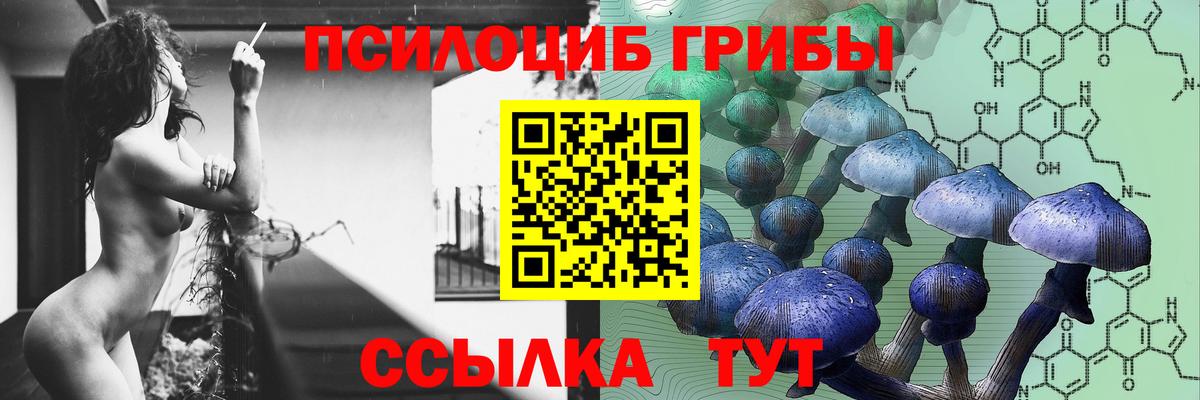 Псилоцибиновые грибы GOLDEN TEACHER  Вход с VPN  Ипатово 
